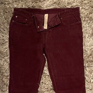 Burberry Brit Courduroy Slim Pants